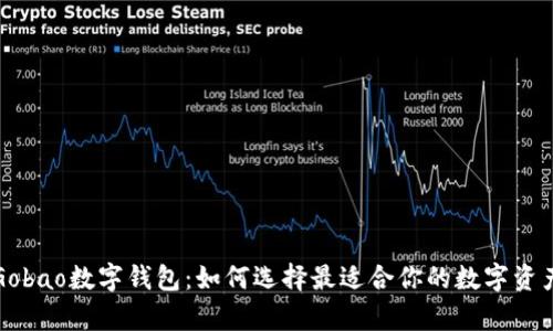 全面解析Gobao数字钱包:如何选择最适合你的数字资产管理工具
