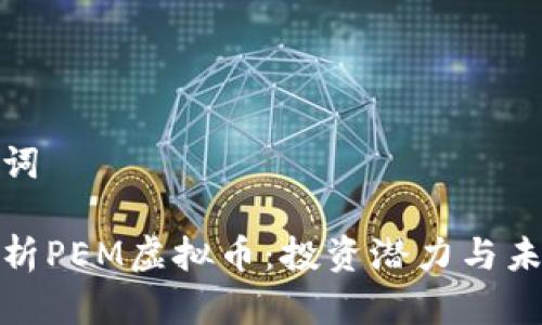 和关键词

全面解析PEM虚拟币：投资潜力与未来发展