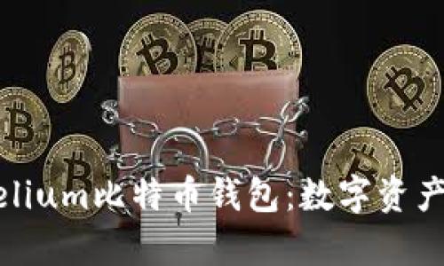 深入理解Mycelium比特币钱包：数字资产管理的新选择