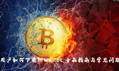 国内用户如何下载TPWallet：全面指南与常见问题解答