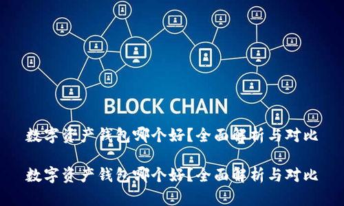 数字资产钱包哪个好？全面解析与对比

数字资产钱包哪个好？全面解析与对比