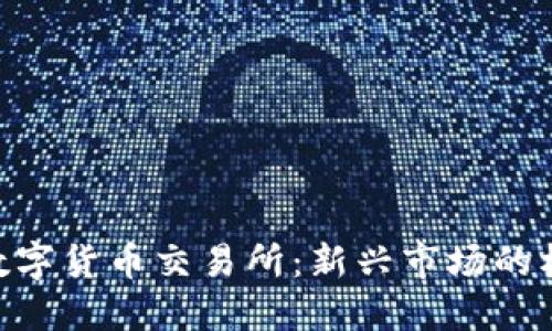 解密CBR数字货币交易所：新兴市场的机遇与挑战