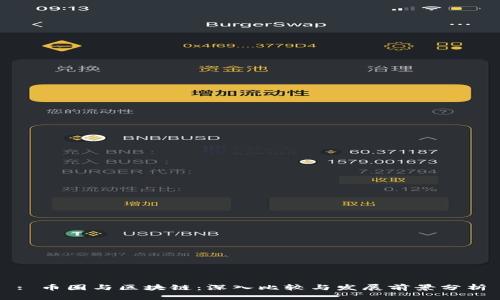 : 币圈与区块链：深入比较与发展前景分析