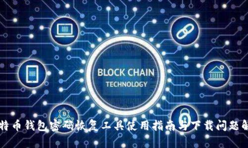 比特币钱包密码恢复工具使用指南与下载问题解析