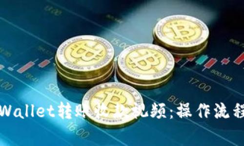 全面解析tpWallet转账收款视频：操作流程与注意事项