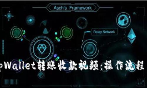 全面解析tpWallet转账收款视频：操作流程与注意事项