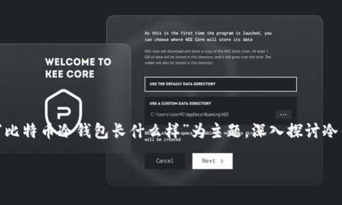 在这个快速发展的数字货币世界中，比特币的安全性成为了一个亟需关注的话题。冷钱包作为存储比特币的安全解决方案，越来越受到投资者的青睐。本文将以“比特币冷钱包长什么样”为主题，深入探讨冷钱包的种类、功能、设计，以及如何使用和选择冷钱包，确保比特币的安全。此外，我们还将解答用户关心的五个相关问题，希望能为比特币投资者提供切实的帮助。

比特币冷钱包的设计与使用：全方位解析