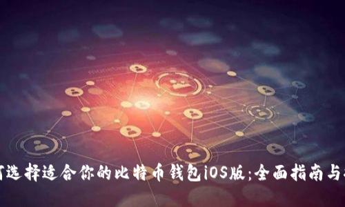 如何选择适合你的比特币钱包iOS版：全面指南与推荐