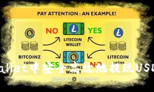 如何在TPWallet中安全高效地提现USDT：详尽指南