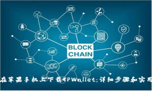 如何在苹果手机上下载TPWallet：详细步骤和实用技巧