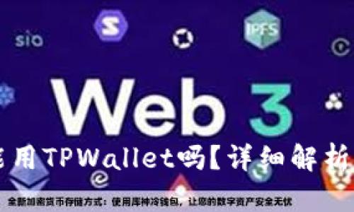 苹果手机能用TPWallet吗？详细解析与使用指南