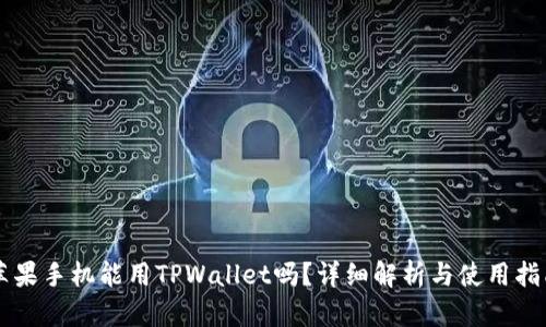 苹果手机能用TPWallet吗？详细解析与使用指南