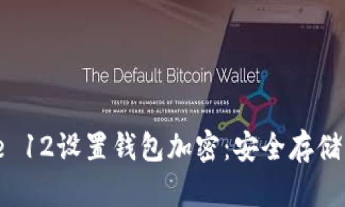 如何为iPhone 12设置钱包加密：安全存储您的支付信息