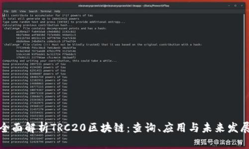 全面解析TRC20区块链：查询、应用与未来发展