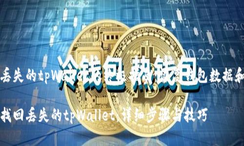 寻找丢失的tpWallet的终极指南：恢复钱包数据和资产

如何找回丢失的tpWallet：详细步骤与技巧
