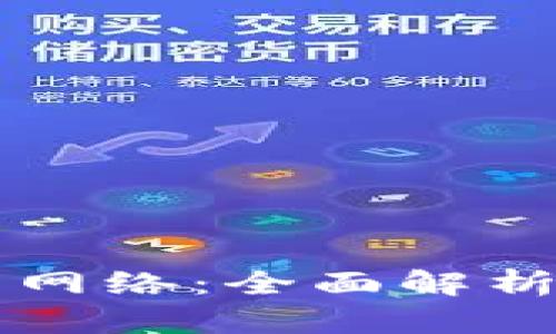 区块链提币网络：全面解析与实用指南