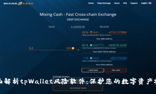 全面解析tpWallet风险软件：保护您的数字资产安全