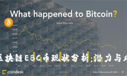 : 区块链EBC币现状分析：潜力与风险