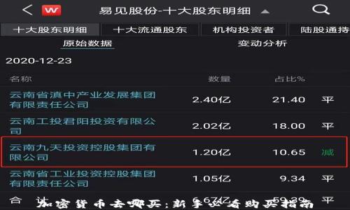 
加密货币去哪买：新手必看购买指南