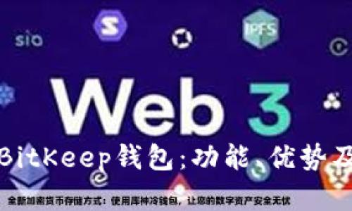 全面解析BitKeep钱包：功能、优势及使用指南