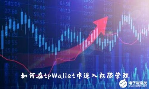 如何在tpWallet中进入权限管理