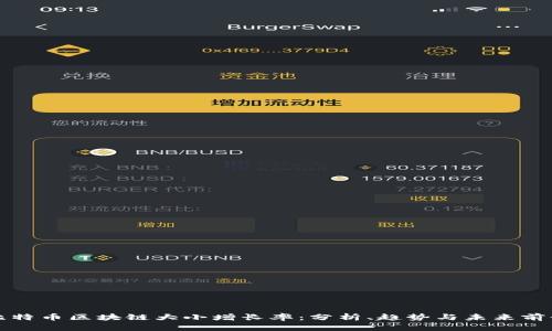比特币区块链大小增长率：分析、趋势与未来前景