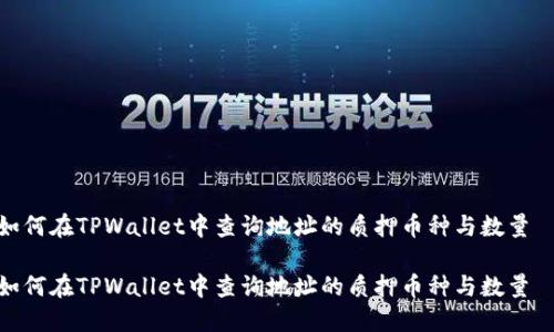 如何在TPWallet中查询地址的质押币种与数量  

如何在TPWallet中查询地址的质押币种与数量