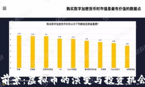 
未来前景：虚拟币的演变与投资机会分析
