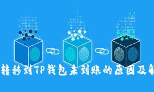 SHIB币转移到TP钱包未到账的原因及解决方案