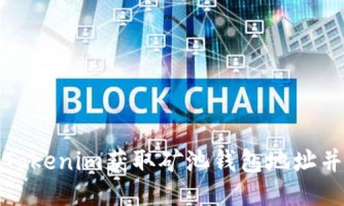 如何使用Tokenim获取矿池钱包地址并进行管理