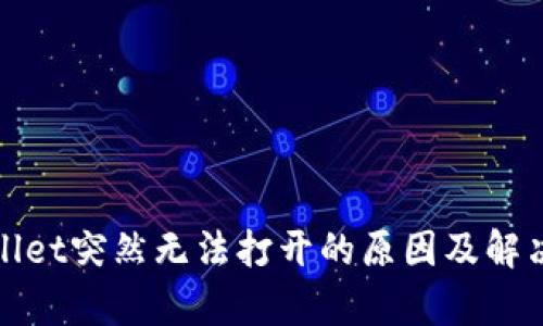 tpWallet突然无法打开的原因及解决方案
