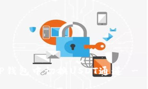 如何在TP钱包中切换USDT通道 - 完整指南