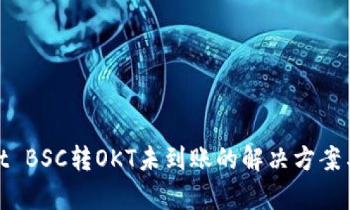 : tpwallet BSC转OKT未到账的解决方案与用户指南