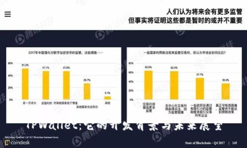 TPWallet：它的开发背景与未来展望