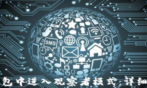 
如何在TP钱包中进入观察者模式：详细步骤与解析