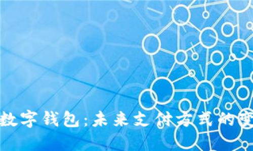 探索外国数字钱包：未来支付方式的变革与发展