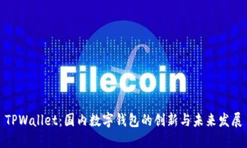 TPWallet：国内数字钱包的创新与未来发展