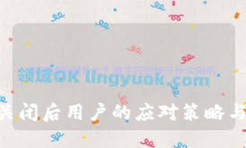 Tokenim关闭后用户的应对策略与替代选择