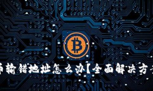 tpwallet提币输错地址怎么办？全面解决方案与注意事项