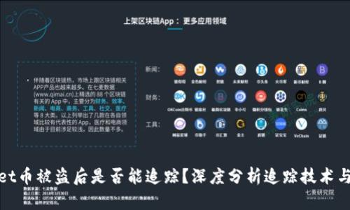 : TPWallet币被盗后是否能追踪？深度分析追踪技术与安全措施