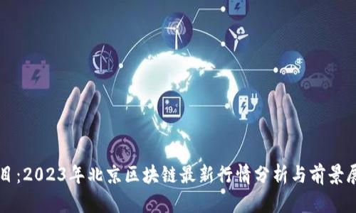 题目：2023年北京区块链最新行情分析与前景展望