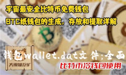 如何破解比特币钱包wallet.dat文件：全面指南与实用技巧