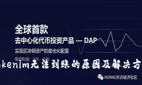 Tokenim无法到账的原因及解决方案