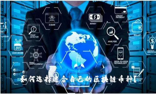 如何选择适合自己的区块链币种？
