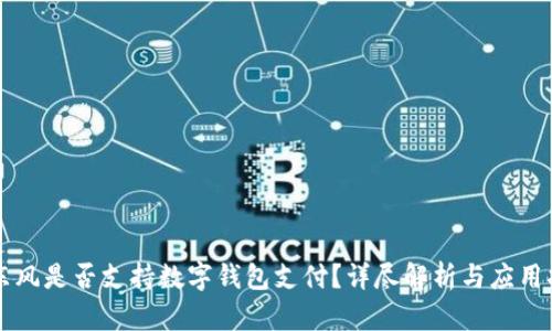 舞东风是否支持数字钱包支付？详尽解析与应用指南