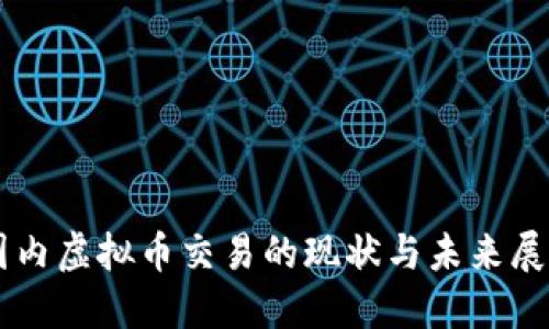 国内虚拟币交易的现状与未来展望