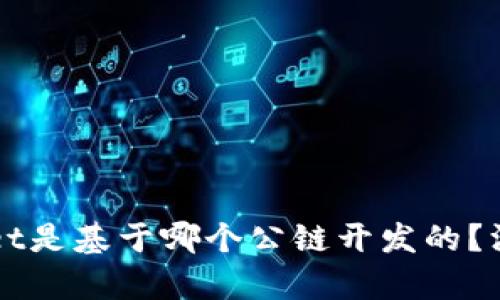 TPWallet是基于哪个公链开发的？深入解析