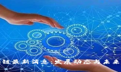 顺鹰区块链最新消息：发展动态与未来趋势解析