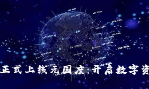 tpWallet正式上线元国度：开启数字资产新时代