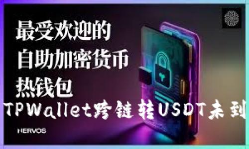 如何解决TPWallet跨链转USDT未到账的问题